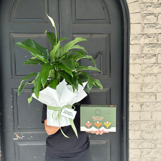 Plant Mum